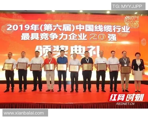 张强独家篮球心得分享让你在球场上更具竞争力与技巧提升